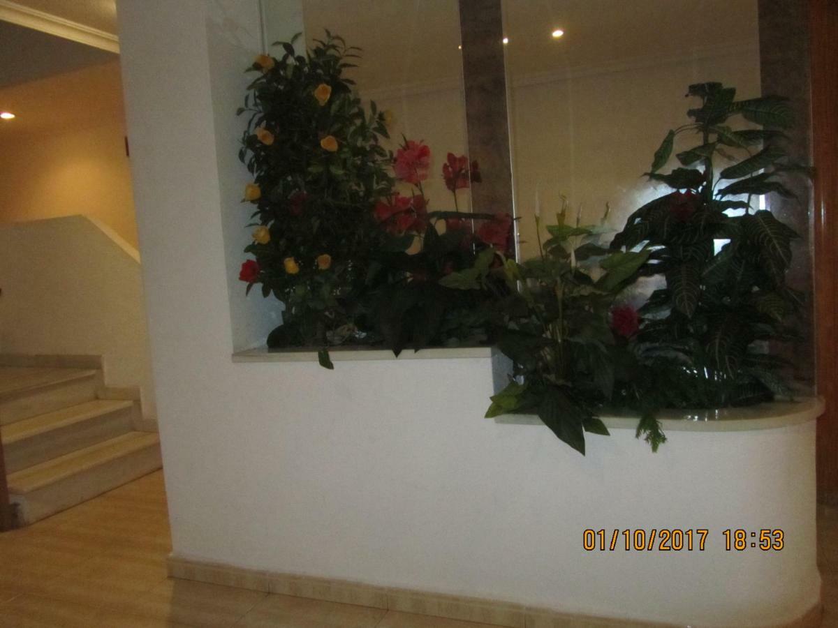 Los Locos San Pascual Torrevieja Exterior foto